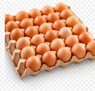 oeuf de poulets
